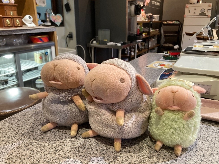 3匹のひつじ