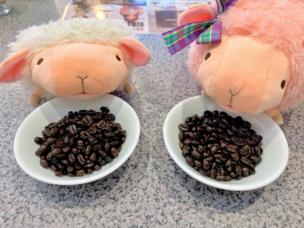 ＜お友だち限定＞SWスペシャルコーヒー